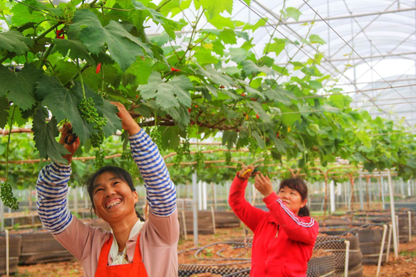 韶關創新扶貧資產管理 推動全面脫貧與鄉村振興