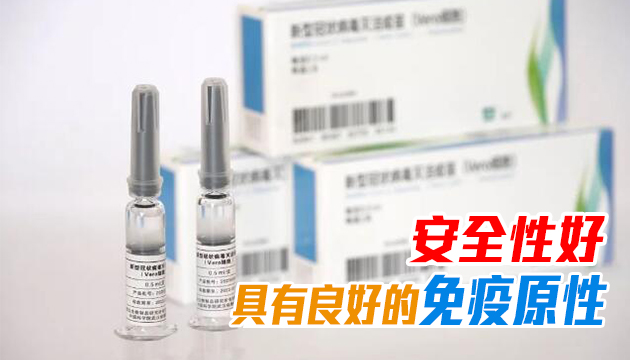 国产新冠灭活疫苗Ⅰ/Ⅱ期临床试验中期结果公布