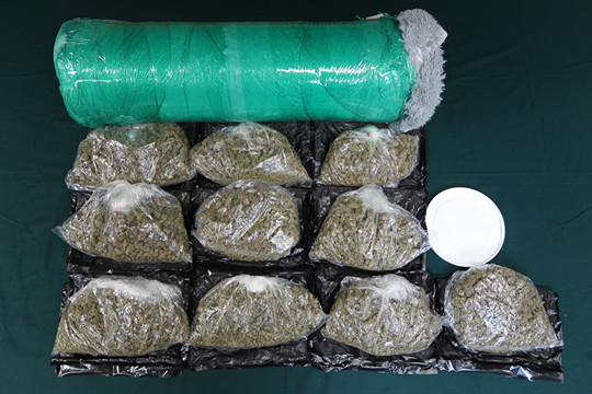  海關下半年於機場檢獲的大麻數量倍升