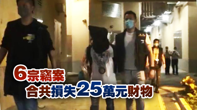 警方昨拘捕兩漢 疑涉多宗竊案