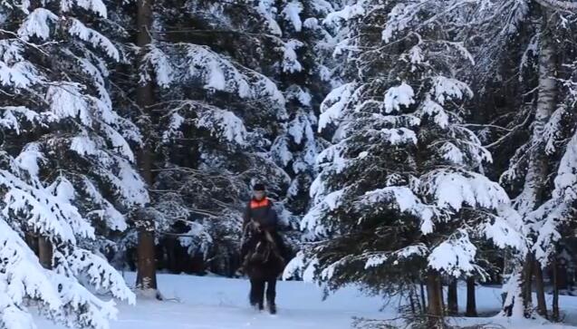 有片丨道路结冰 新疆快遞員雪地騎馬「硬核」送快遞