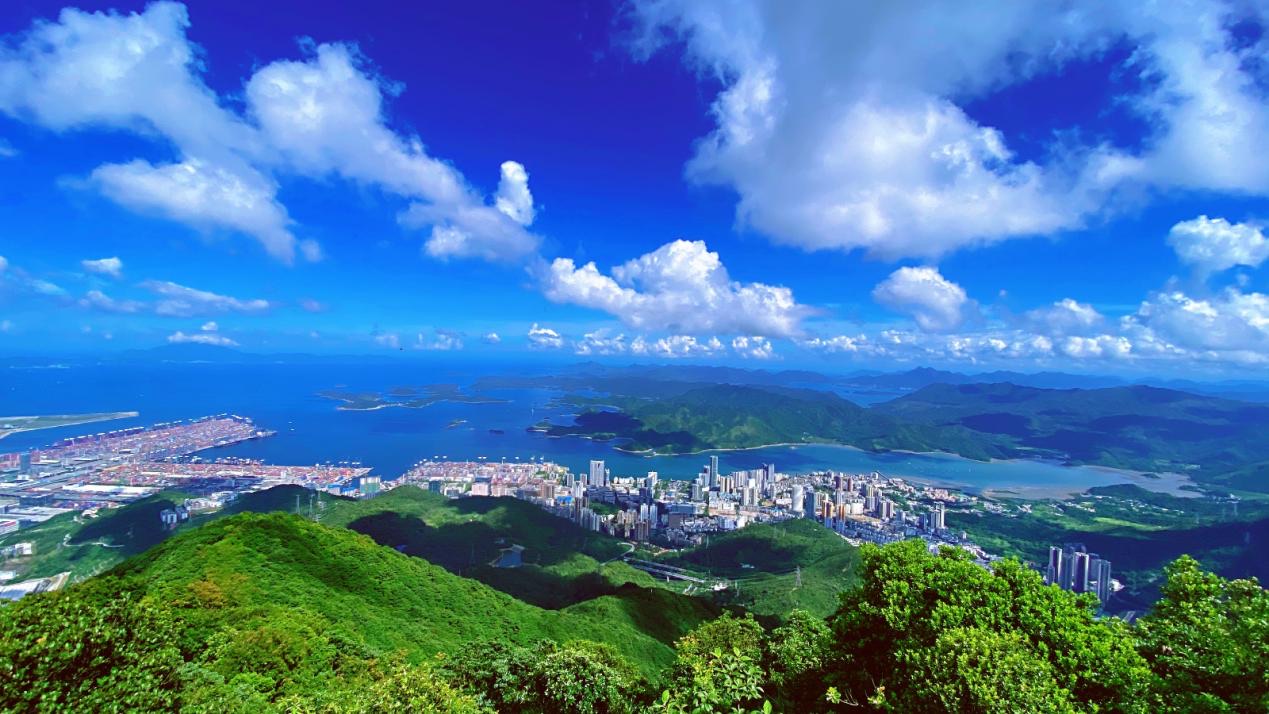 再添生態新名片 深圳鹽田獲評「中國天然氧吧」稱號