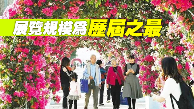 2020深圳簕杜鵑花展28日開幕 230種簕杜鵑等你來賞