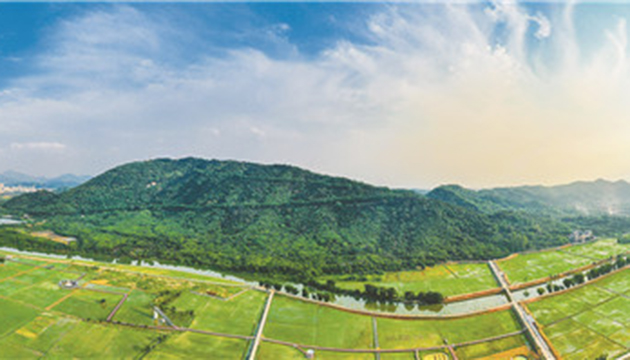 打造「數字農業硅谷」 探尋數字農業「廣東之路」