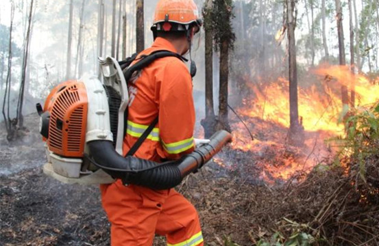 春節期間森林山火易發 廣東強化野外火源管控
