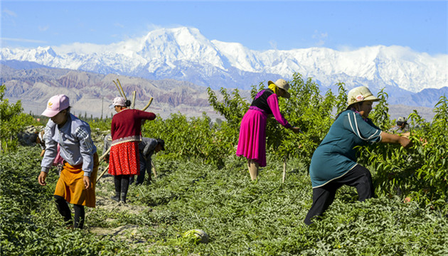 新疆部分企業和民眾將起訴德國人鄭國恩