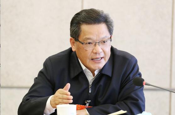 【代表委員說】任振鶴代表：緊抓「带路」機遇 擴大對外開放