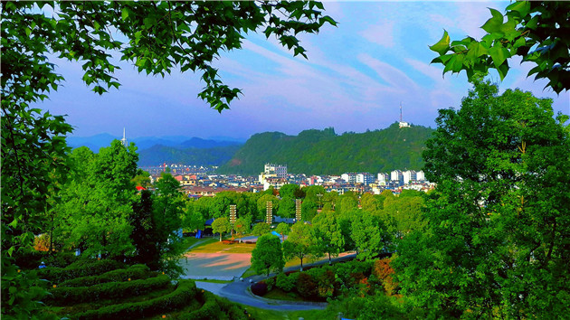 中國首個林長制改革示範區森林覆蓋率實現歷史性突破