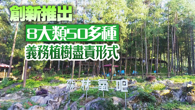 第43個植樹節：2020年中國完成造林677萬公頃