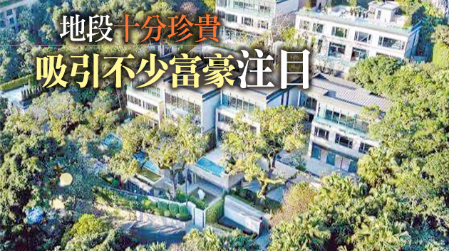 神秘富豪付1.65億辣稅買豪宅