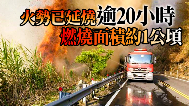 台灣阿里山發生森林大火 大火已延燒逾20小時