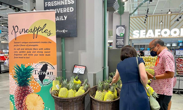 今年台灣鳳梨外銷星國數量料翻倍增加