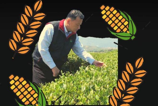 台胞點讃「農林22條措施」