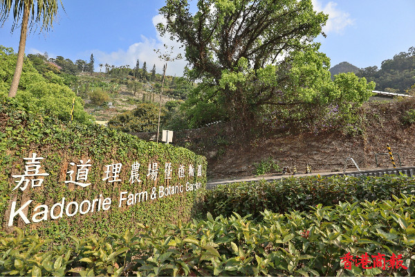 圖集 | 嘉道理農場暨植物園：行山好選擇 攝影好去處