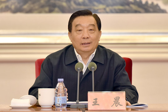 王晨：努力為「十四五」開好局起好步提供法治保障