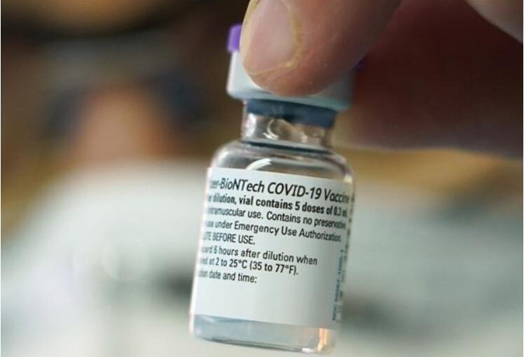 政府暫停復必泰疫苗接種 復星跌逾4%