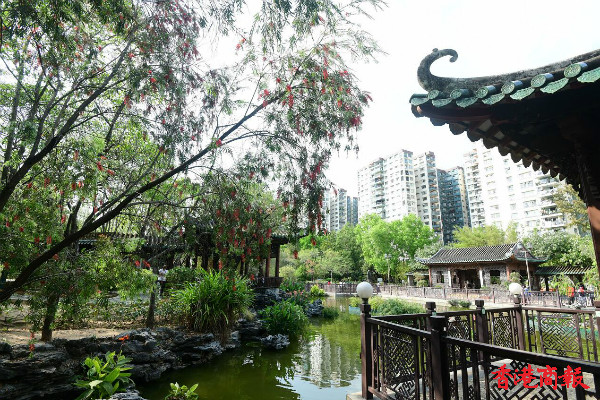 圖集 | 荔枝角公園：遊中式庭園 賞嶺南之風