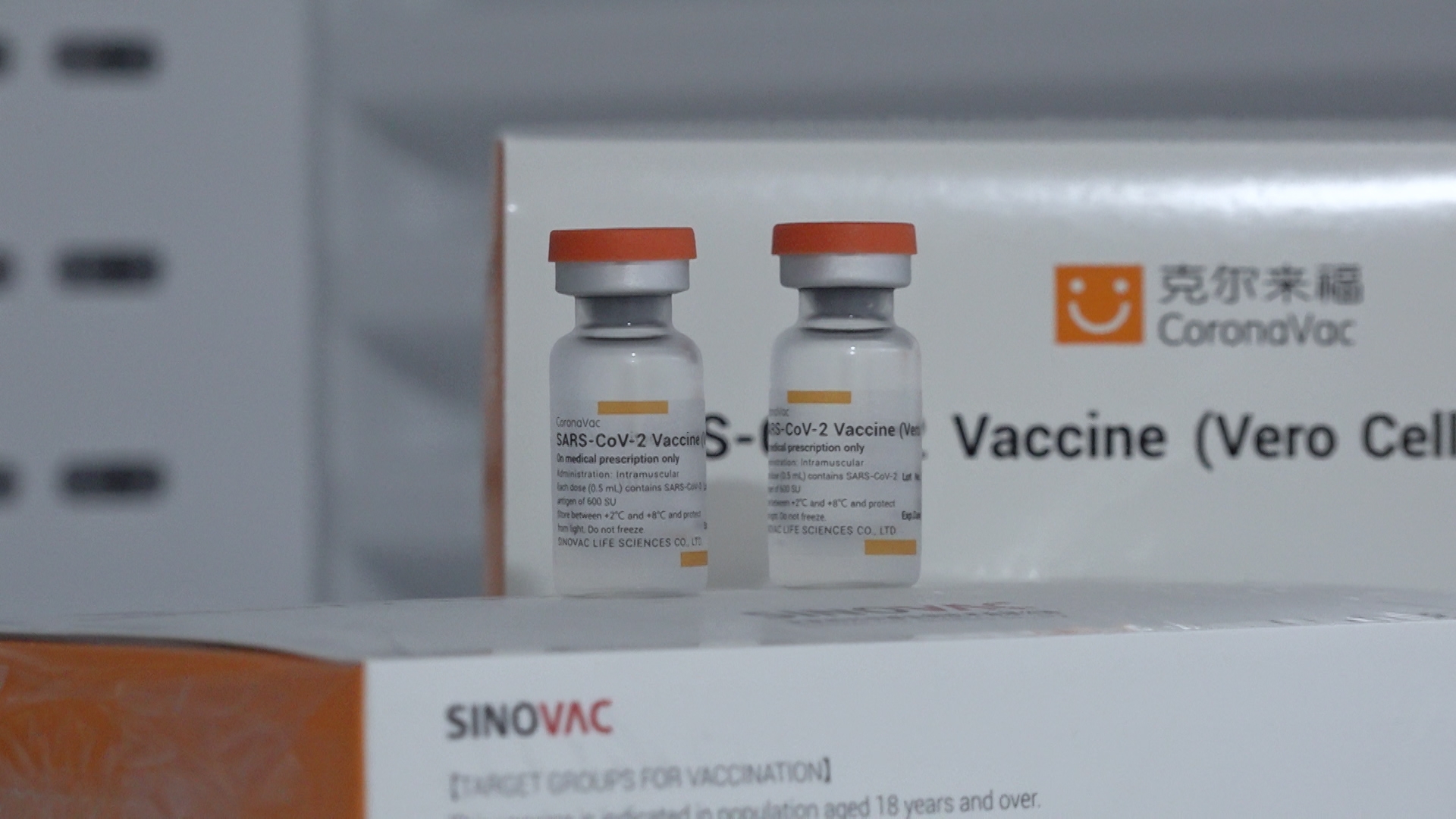 科興疫苗可有效預防新冠及重症個案 專家籲市民積極接種