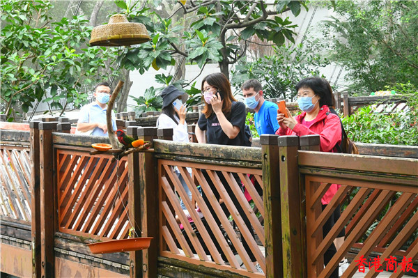 圖集 | 尤德觀鳥園