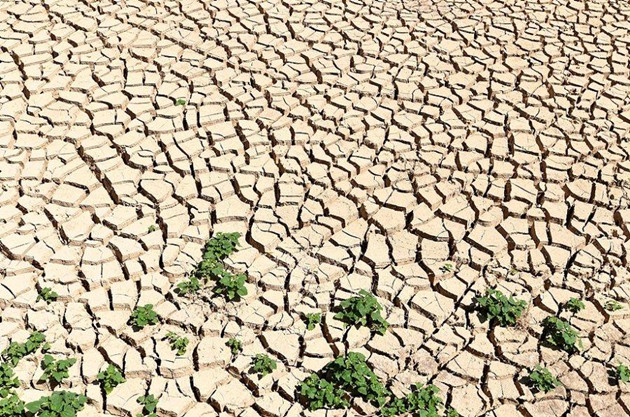 防旱抗旱保春耕！廣東東部旱情持續 當地多措並舉保障用水