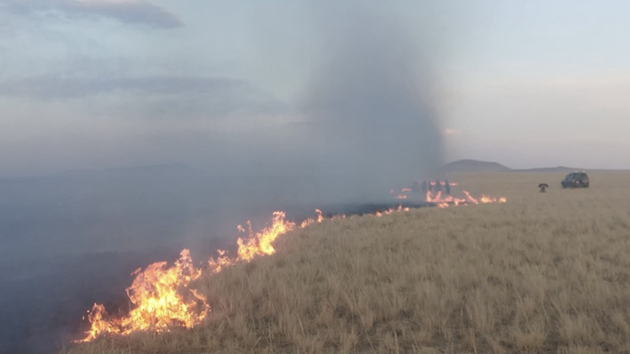 蒙古國草原大火蔓延至中國境內