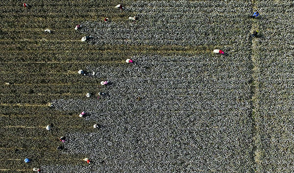 新疆紡織企業起訴鄭國恩名譽權糾紛案已獲受理