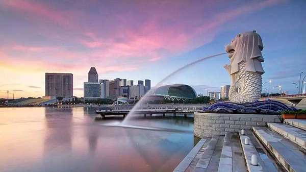 邱騰華：港星旅遊氣泡還須等