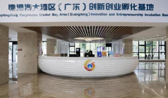 【大灣區·大未來】港澳青年扎根大灣區 乘風破浪逐夢大未來