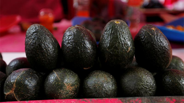 營養價值高 牛油果成廚房新寵兒