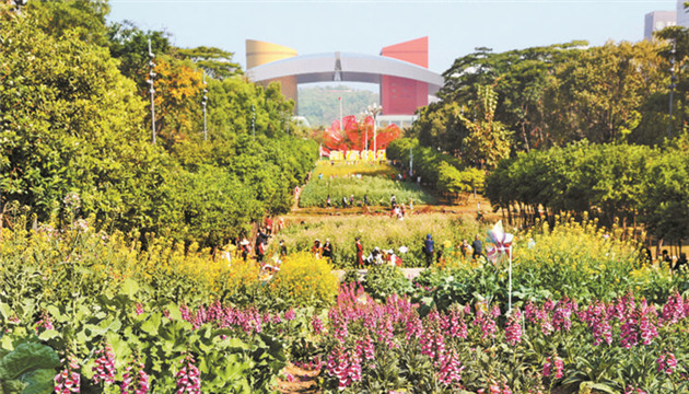 深圳市政府領導班子成員分工更新