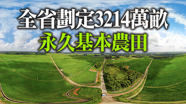 廣東累計動工墾造水田34.5萬畝
