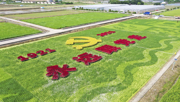 【中共百年 深圳故事】深圳大鵬：「稻田畫」里講黨課 生態讓生活更美好