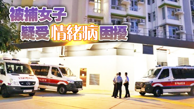 長沙灣麗翠苑發生血案 胞姊持刀刺傷胞弟