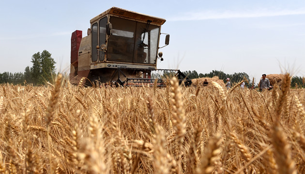 【金句回放】習近平：中國人的飯碗任何時候都要牢牢端在自己手上