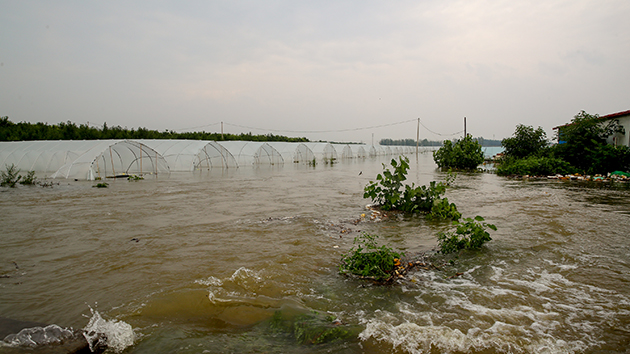 【熱門話題】港人心繫河南災情