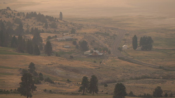 88場大型山火在美蔓延 近6000平方公里土地被毀