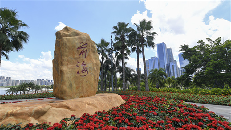 深圳打造全國首個破產信息公開公示機制