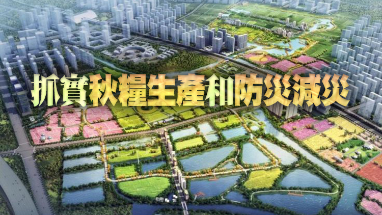  農業農村部：盡最大努力支持河南災後恢復農業生產