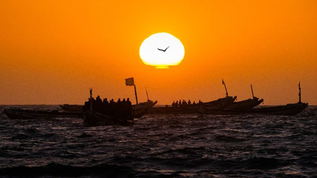 「深汕合作區」漁港驚現189斤龍躉石斑