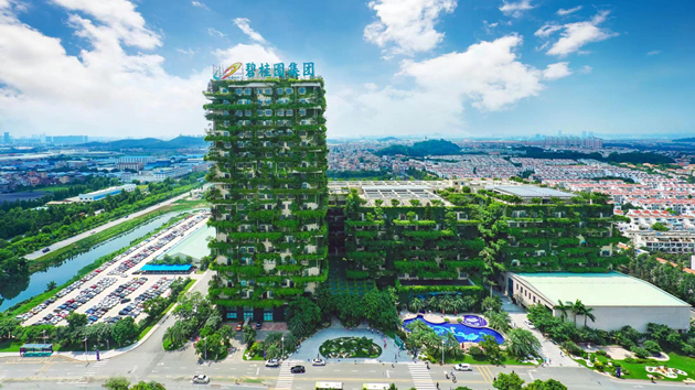 碧桂園半年業績披露：業績穩步提升 槓桿持續低位