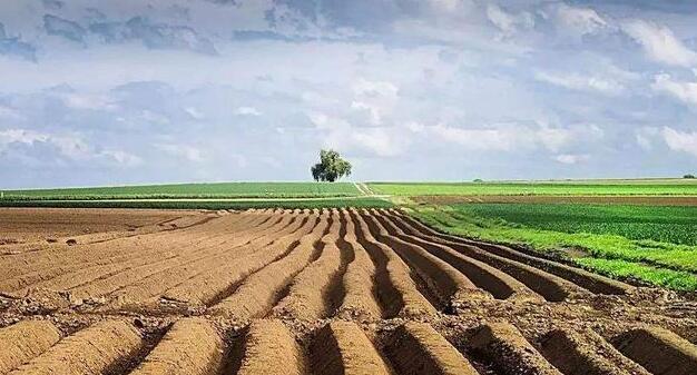 第三次全國國土調查:10年間全國耕地地類減少1.13億畝