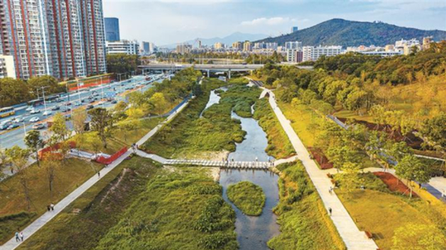 深圳多項綠色指標領先 上半年空氣質量全國第六