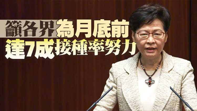 有片｜林鄭：已向中央提出兩地專家對接討論有序通關安排