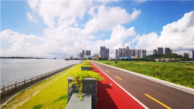 太美了！番禺這條8公里長的碧道沿線風光旖旎！