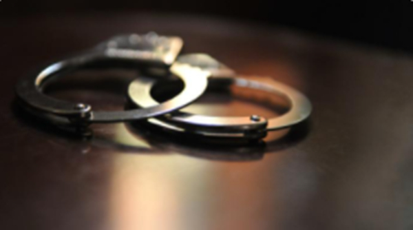  夥同他人騙取國家專項資金 外逃職務犯罪嫌疑人朴晨海回國投案