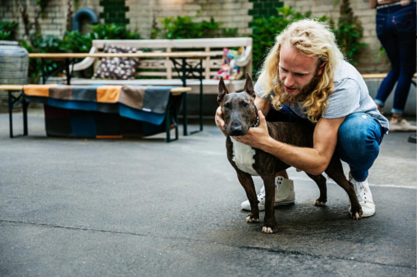 疫情期間德國養狗稅收入創紀錄增加