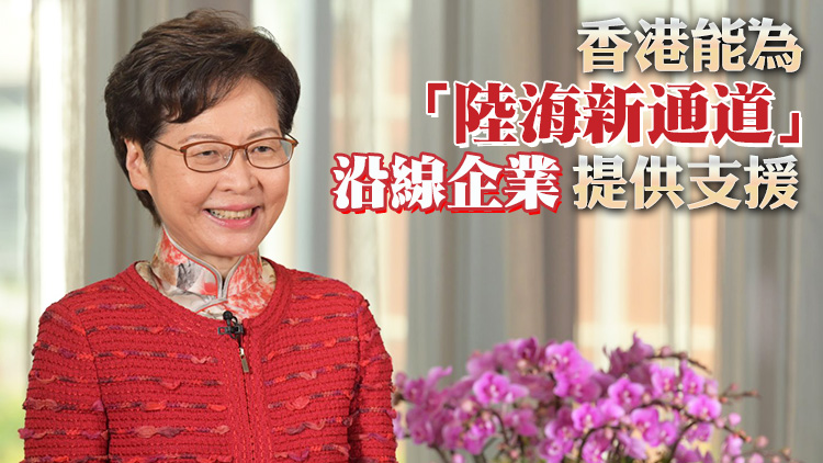 有片｜林鄭：特區政府將協助港商把握機遇 拓展西部市場