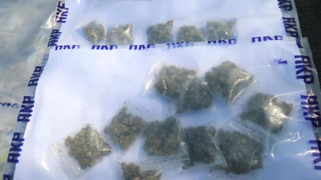 上半年本港青少年吸毒及涉毒品被捕人數均升逾7成