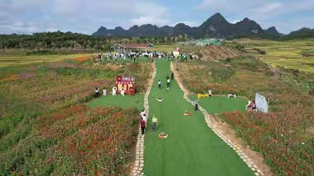 廣西河池市市長王軍：大力發展大健康和文旅產業