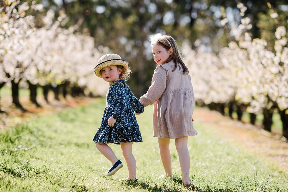 【旅遊】澳洲維多利亞州後花園！春天絕美賞櫻勝地